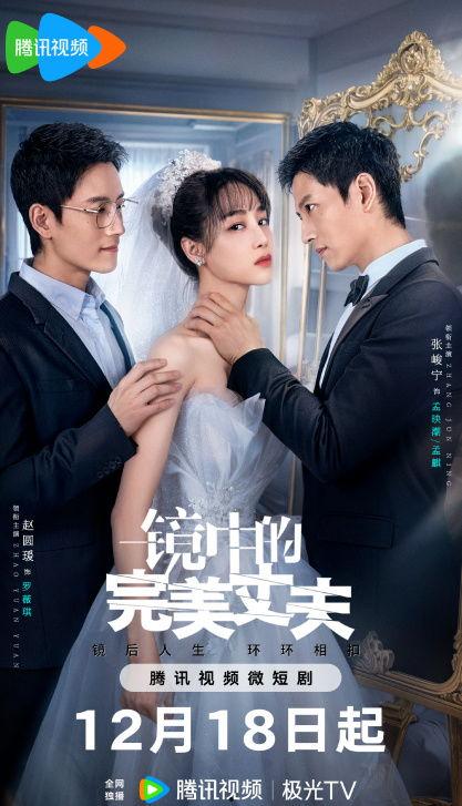 镜中的完美丈夫,揭秘完美丈夫的虚幻真相