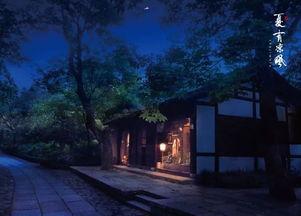 月光与他皆温柔,一场浪漫邂逅的回忆录