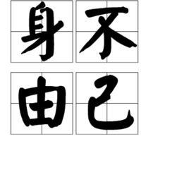 身不由己,命运与自由的交织之旅