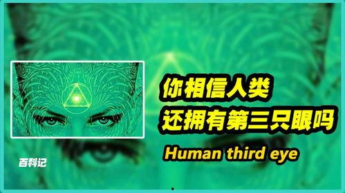 第三只眼2024,洞察未来，预见变革