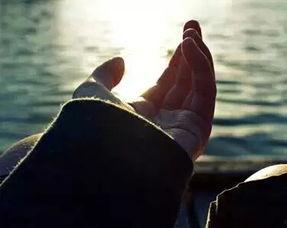 我从不哭泣,探寻坚毅背后的情感力量